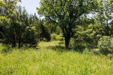 Escape to your own private piece of Kansas wilderness with this - photo 8