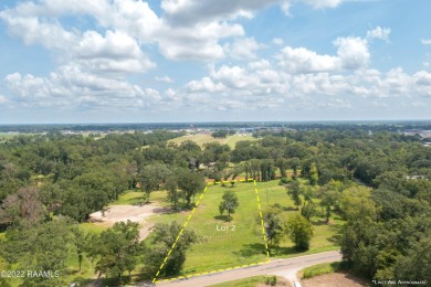 (private lake, pond, coastal) Acreage For Sale in Breaux Bridge Louisiana