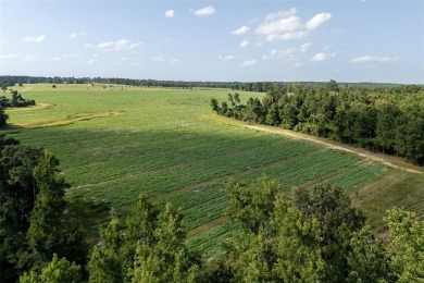 (private lake, pond, creek) Acreage Active Under Con in Grapeland Texas