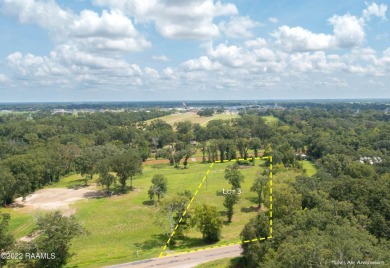 (private lake, pond, coastal) Acreage For Sale in Breaux Bridge Louisiana