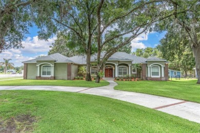 Lake Home For Sale in Odessa, Florida