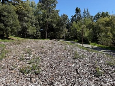 Prime opportunity in a sought-after location between El Rancho - photo 2