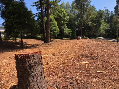 Prime opportunity in a sought-after location between El Rancho - photo 3