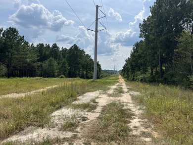 The property spans approximately 749 acres, with 518.12 acres - photo 11