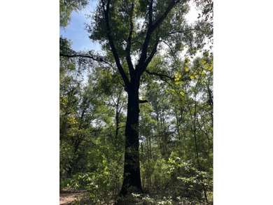 The property spans approximately 749 acres, with 518.12 acres - photo 12
