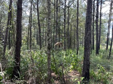 The property spans approximately 749 acres, with 518.12 acres - photo 13