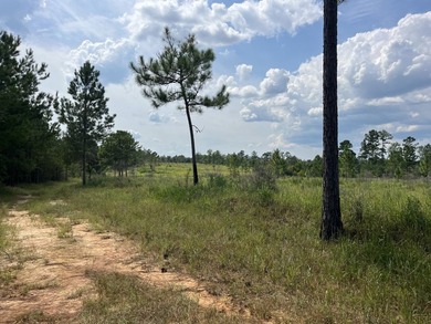 The property spans approximately 749 acres, with 518.12 acres - photo 14