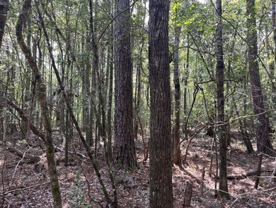 The property spans approximately 749 acres, with 518.12 acres - photo 15