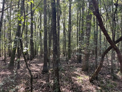 The property spans approximately 749 acres, with 518.12 acres - photo 16