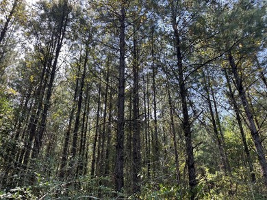 The property spans approximately 749 acres, with 518.12 acres - photo 17