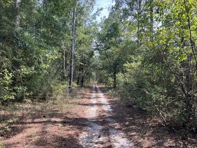 The property spans approximately 749 acres, with 518.12 acres - photo 19