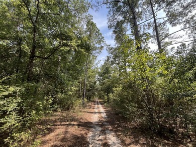 The property spans approximately 749 acres, with 518.12 acres - photo 20