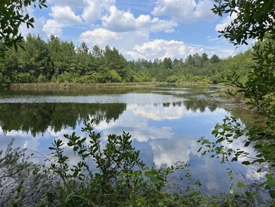 The property spans approximately 749 acres, with 518.12 acres - photo 23