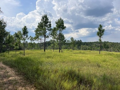 The property spans approximately 749 acres, with 518.12 acres - photo 24