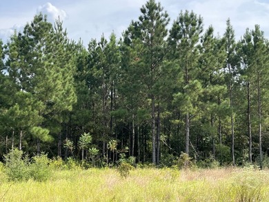 The property spans approximately 749 acres, with 518.12 acres - photo 25