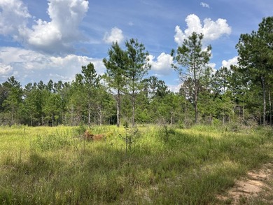 The property spans approximately 749 acres, with 518.12 acres - photo 26