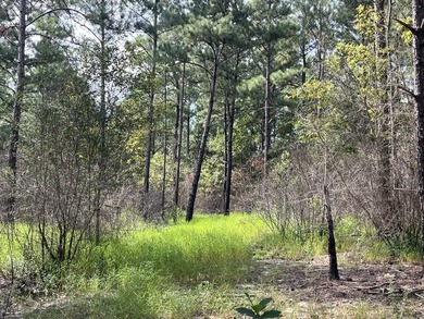 The property spans approximately 749 acres, with 518.12 acres - photo 27