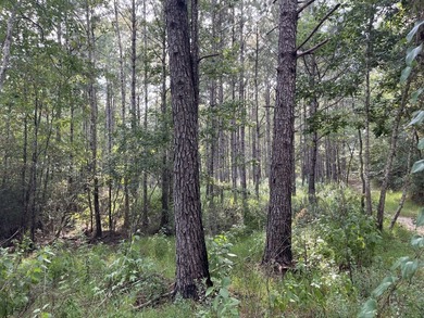 The property spans approximately 749 acres, with 518.12 acres - photo 29