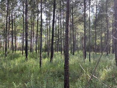 The property spans approximately 749 acres, with 518.12 acres - photo 30