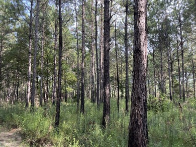 The property spans approximately 749 acres, with 518.12 acres - photo 31