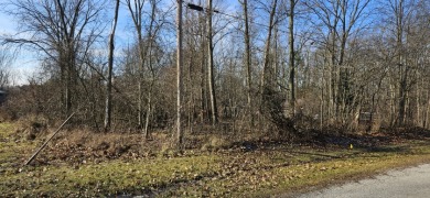 Holiday Lakes Lot SOLD! in Willard Ohio