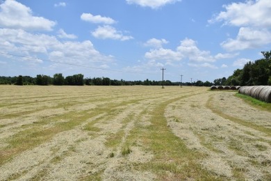 Lake Acreage For Sale in Palestine, Texas