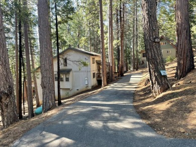 Fly In Acres Lake Home For Sale in Arnold California