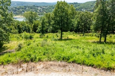 Lake Lot For Sale in Blue Eye, Missouri