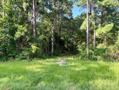 Lake Lot Sale Pending in Huntington, Texas