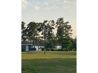 Lake Marion Lot For Sale in Manning South Carolina