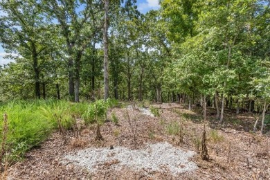 Lake Lot For Sale in Blue Eye, Missouri
