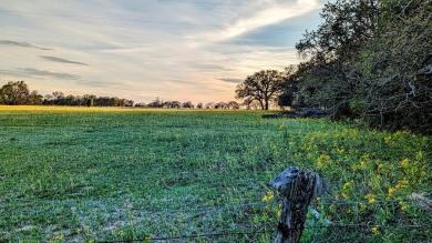 Lake Acreage For Sale in Palestine, Texas