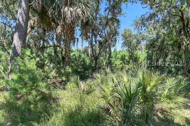 Just a few steps from the sand, **10 Beauregard Blvd** sits in - photo 10