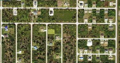 No HOA, deed restrictions or CDDs!!! Don't wait until demand - photo 2