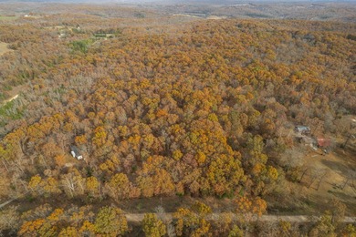 Secluded 5-Acre Wooded Retreat in TecumsehDiscover a peaceful - photo 11