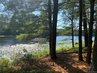 800+ ACRES | 60-ACRE PRIVATE LAKE | 90 MILES TO NYC Strategic - photo 11