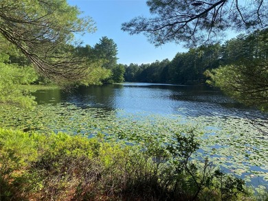 800+ ACRES | 60-ACRE PRIVATE LAKE | 90 MILES TO NYC Strategic - photo 12