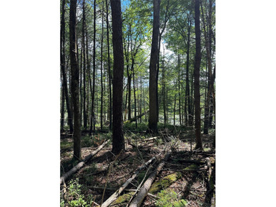 800+ ACRES | 60-ACRE PRIVATE LAKE | 90 MILES TO NYC Strategic - photo 14
