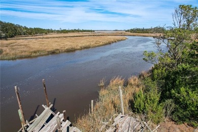PRIVATE DEEP WATER PROPERTY, SOUTH NEWPORT RIVER, PRE-APPROVED - photo 15