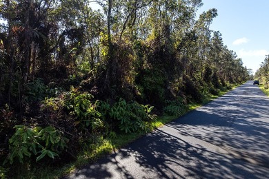 Nestled in the serene Ohia Estates subdivision near Volcano - photo 15