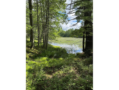800+ ACRES | 60-ACRE PRIVATE LAKE | 90 MILES TO NYC Strategic - photo 15