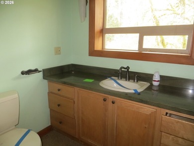 Discover your dream home nestled in a picturesque Fishhawk Lake - photo 15