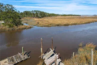 PRIVATE DEEP WATER PROPERTY, SOUTH NEWPORT RIVER, PRE-APPROVED - photo 16