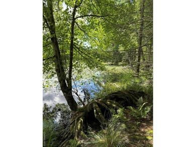 800+ ACRES | 60-ACRE PRIVATE LAKE | 90 MILES TO NYC Strategic - photo 16