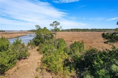 PRIVATE DEEP WATER PROPERTY, SOUTH NEWPORT RIVER, PRE-APPROVED - photo 17
