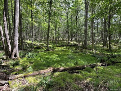 800+ ACRES | 60-ACRE PRIVATE LAKE | 90 MILES TO NYC Strategic - photo 17