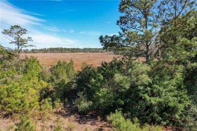 PRIVATE DEEP WATER PROPERTY, SOUTH NEWPORT RIVER, PRE-APPROVED - photo 18