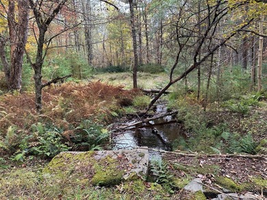 800+ ACRES | 60-ACRE PRIVATE LAKE | 90 MILES TO NYC Strategic - photo 18