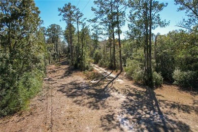 PRIVATE DEEP WATER PROPERTY, SOUTH NEWPORT RIVER, PRE-APPROVED - photo 19