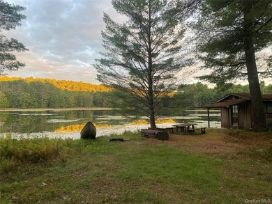 800+ ACRES | 60-ACRE PRIVATE LAKE | 90 MILES TO NYC Strategic - photo 19